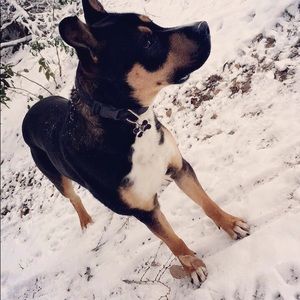 Meet your Posher, Alexia